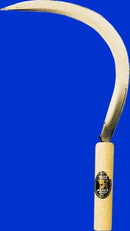 10161 - Falcetta dentata mis. Media 45