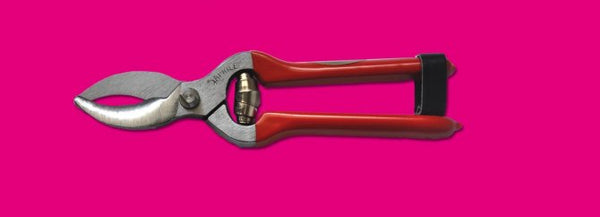 FORBICI TAGLIABENDE INOX - cm 18 - Pharmapiù
