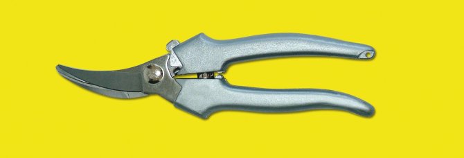 <transcy>1328 - Stainless steel multipurpose scissors 19 cm narrow harvest</transcy>