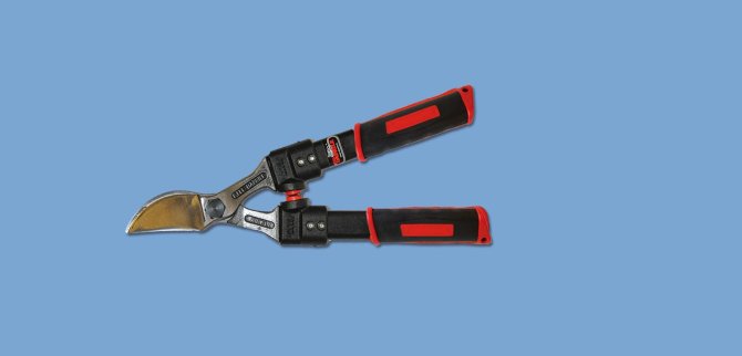 <transcy>2320 - Forged two-handed scissors iron handle cm. 40</transcy>