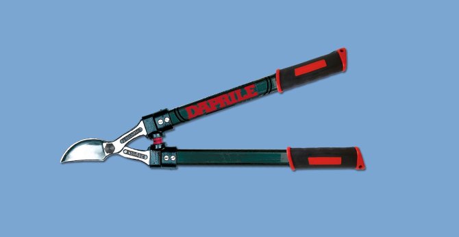 <transcy>2321 - Forged scissors with iron handle 50 cm</transcy>