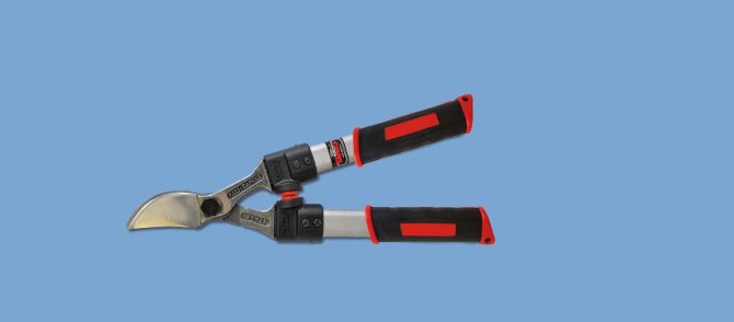 <transcy>2330 - Forged two-handed scissors, aluminum handle 40 cm</transcy>