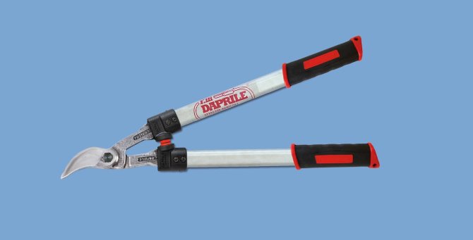 <transcy>2341 - Daprile scissors aluminum handle 50 cm</transcy>