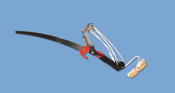 <transcy>2410 - Double rope pole pruner with Teflon-coated blade</transcy>