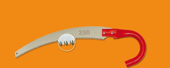 <transcy>6091 - Extra curved saw with iron handle mm 380</transcy>