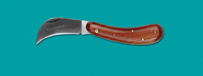 <transcy>8108 - Crescent hook knife with cherry wood handle 18 cm</transcy>