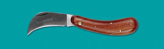 <transcy>8109 - Crescent hook knife cherry handle 21 cm</transcy>