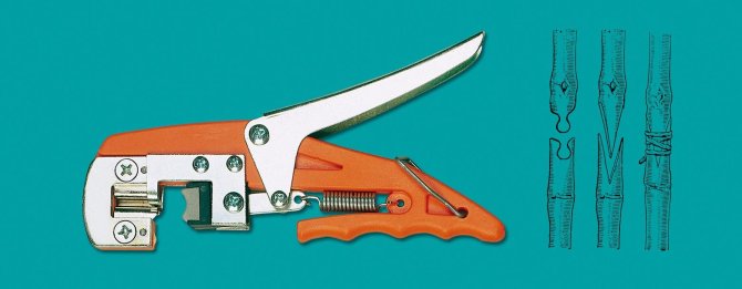 <transcy>8117 - 2 blades grafting scissors</transcy>