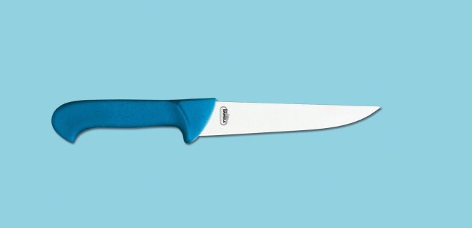 <transcy>8150 - Straight edge scanno knife 14 cm plastic handle</transcy>