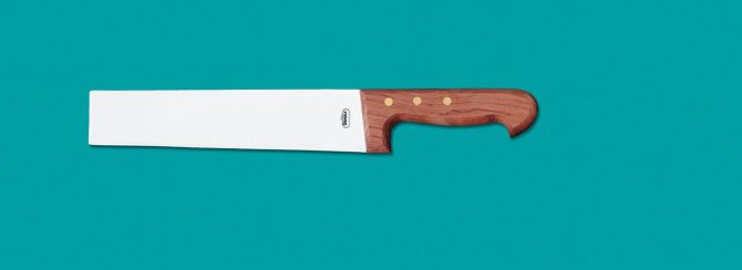 <transcy>8330 - Front cut cabbage knife, wooden handle 24 cm</transcy>