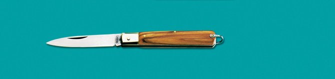 <transcy>8830 - Extracted knife with olive handle cm 15</transcy>