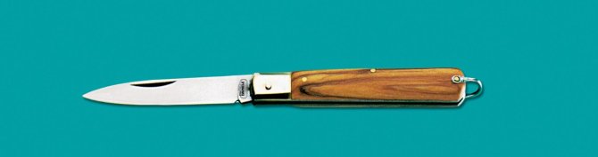<transcy>8834 - Extracted knife with olive handle cm 19</transcy>