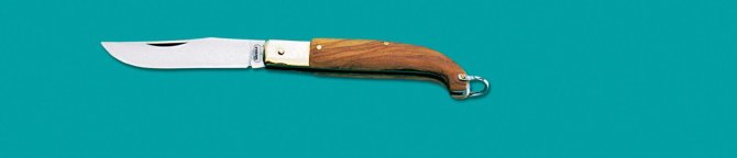 <transcy>8840 - Zouave knife with olive handle cm 15</transcy>