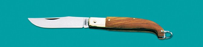 <transcy>8844 - Zouave knife with olive handle 19 cm</transcy>