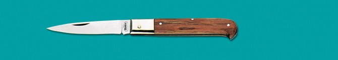 <transcy>8852 - Caltagirone knife cherry handle 20 cm</transcy>
