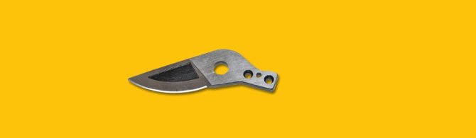 <transcy>9062 - Straight blade for LG21 scissors</transcy>